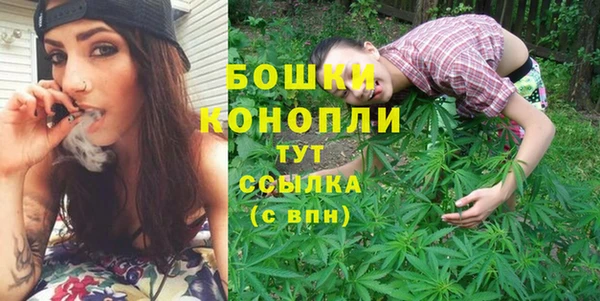 Альфа ПВП Белокуриха