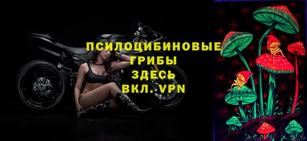 стаф Белоозёрский