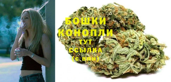 стаф Белоозёрский