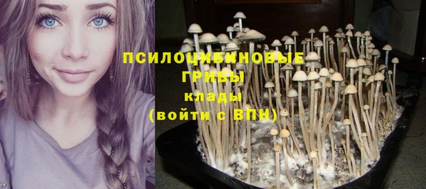 круглые Беломорск