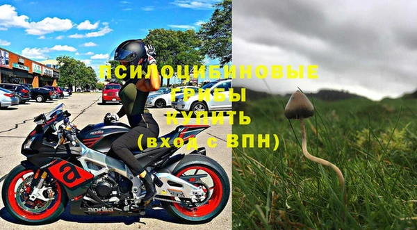 Альфа ПВП Белокуриха
