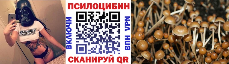 Псилоцибиновые грибы ЛСД  наркошоп  Гремячинск 